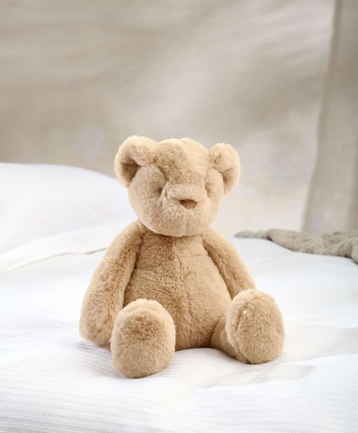 teddy 2